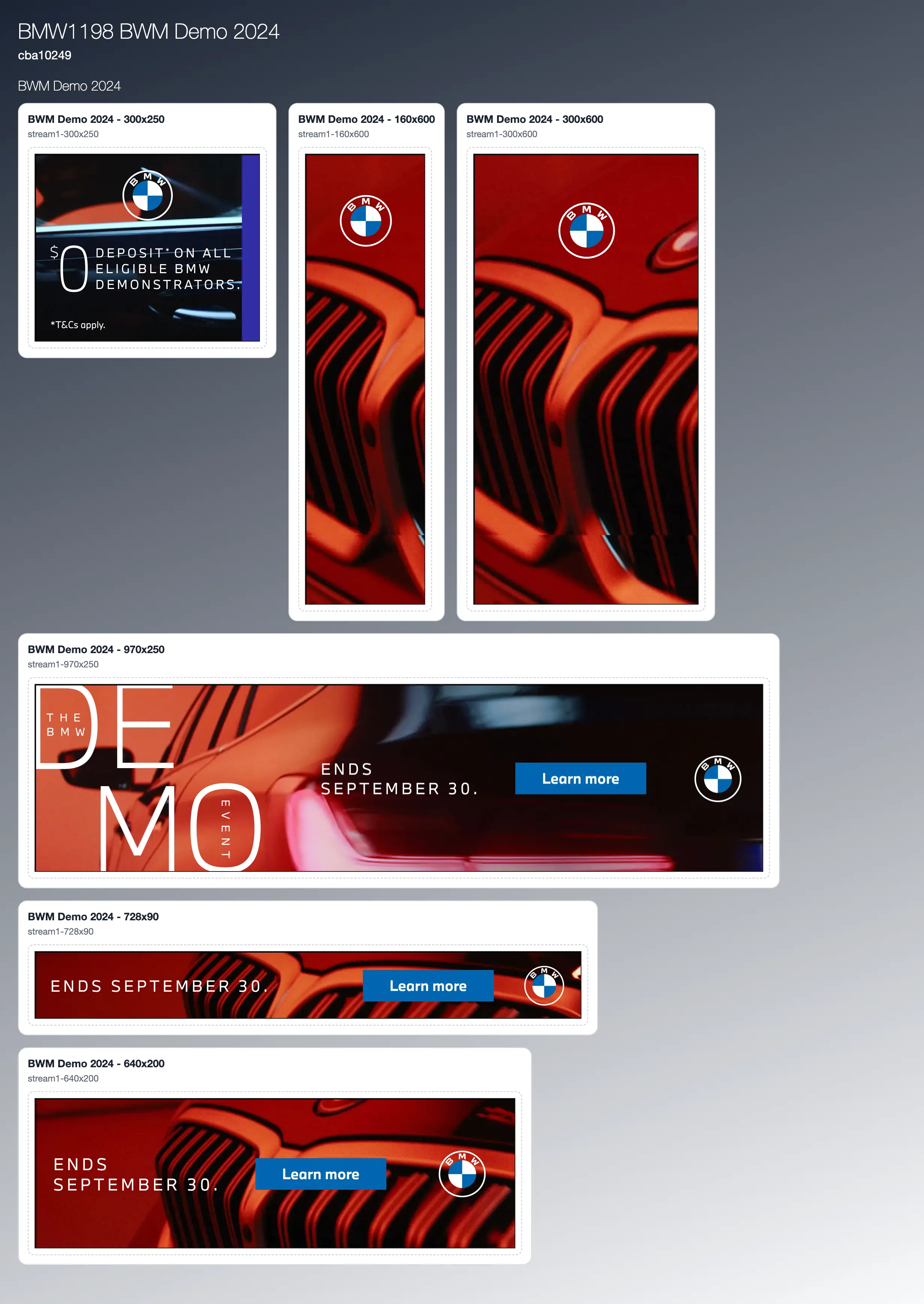 anyMotion campaign output overview screenshot